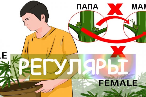 Гидра и кракен